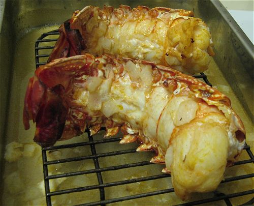 Big Lobster Tail