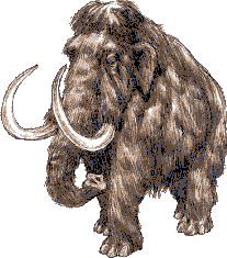 A woolly mammoth A woolly mammoth